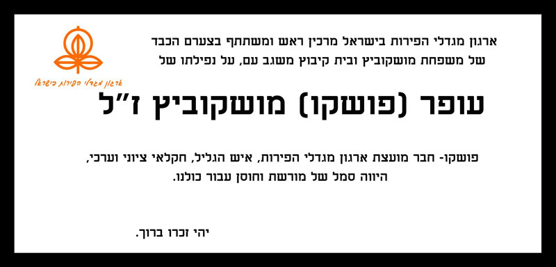 עופר-מושקוביץ-פושקו-3.jpg