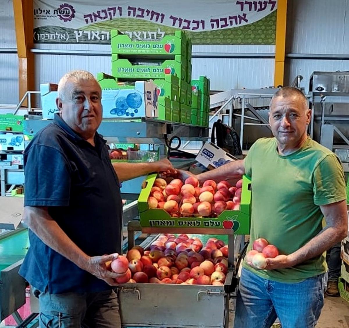 החקלאי לואיס עלם וירון בלחסן מנכ"ל ארגון מגדלי הפירות בישראל בבית האריזה בגוש חלב של משפחת החקלאים עלם
