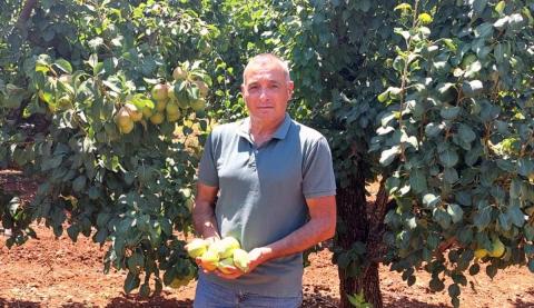 ירון בלחסן מנכל ארגון מגדלי הפירות בישראל-אגסים