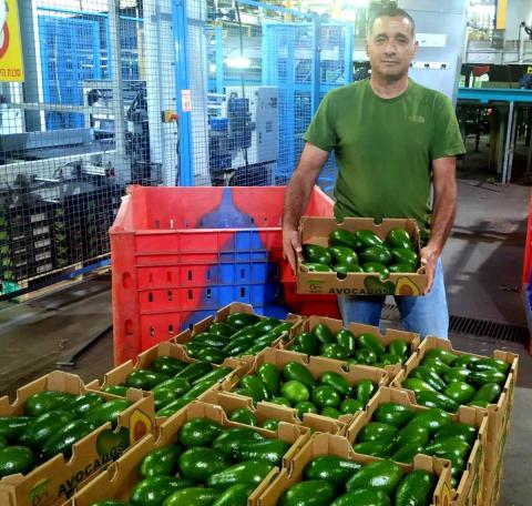 ירון בלחסן מנכל ארגון מגדלי הפירות בישראל.