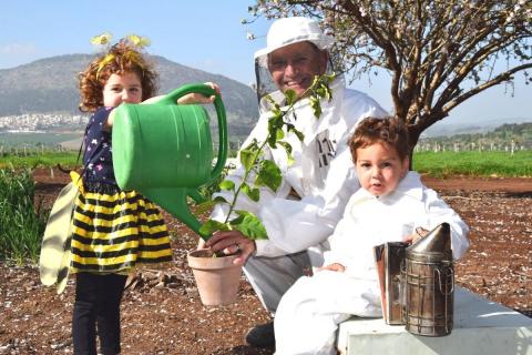 ‏‏נטיעות צופניות 