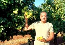 ירון בלחסן מנכל  ארגון מגדלי הפירות בישראל במטעי רמות נפתלי-